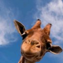 가톨릭대학교 이미지