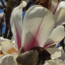 매실사랑펜션 이미지