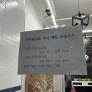 비타민삼춘 - 9518 | 비타민삼춘
