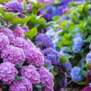 세인치과의원 이미지