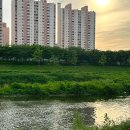 안양천 다목적광장 이미지