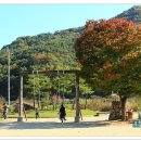 개실마을 이미지