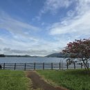 선촌(게이트볼장) 이미지