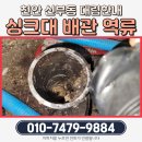 대림프라자 | 해결, 하부 배관 청소부터 수전·배수통 교체까지 확실한 개선! 천안 신부동 대림한내아파트 실제 시공기