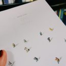 달끌림하우스 이미지