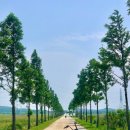 멍베스트 이미지