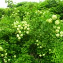 아래농장 이미지