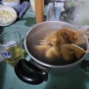 안면도해마루펜션 | 안면도 해마루 펜션 리얼 후기 '잘 놀다 왔습니다.'