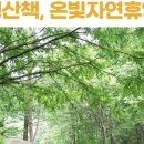온빛스튜디오