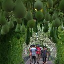 결성면 원천마을회관 이미지