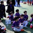 윤준하축구클럽