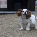 사기막 농장 이미지