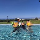 소노펠리체 델피노 이미지