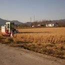 대환 농장 이미지