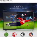 리얼엔젤플러스(