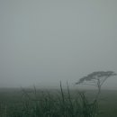 동선목장 이미지