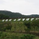 서리골천 티스토리