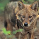 대문초교 이미지