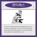 참솔 주식회사 이미지