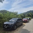 비발디의아침 | 홍천 비발디파크 근처 맛집 테라스의 아침카페 내돈내산 솔직후기