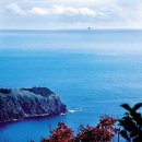 뉴삼협(주) | 메리크리스마스 독도