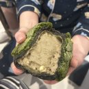 영실농장 | 제주 빵지순례 아베베 베이커리 주말 웨이팅 후기, 메뉴 추천