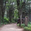 중계사랑북카페 이미지