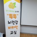 금돼지돈돼지 이미지