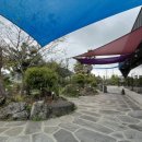 낭커피(NANG COFFEE) 이미지