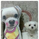 똘이인쇄