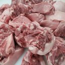 참조은생포크 이미지