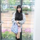 바쿠백 BAGGU 바쿠 베이비 딧시 참스 착샷 후기