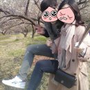 「테마캠프」이용해서 당일치기로 광양 매화축제&amp; 구례산수유축제 다녀왔어요♬