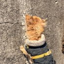 아띠펜션 이미지