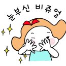 라이브헤어겔러리 이미지