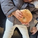 이인기 | 고산역 카페 아로케 대구 시지점, 한국적인 감성이 매력적인 경산카페