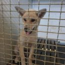 송정3교 이미지