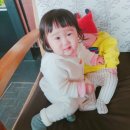 시마스시 이미지