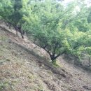 사천고등학교 이미지