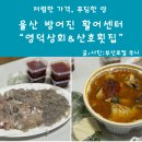방어진회센터 울산 회 포장할 만한 곳 영업시간
