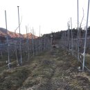 볼빨간 농원 이미지