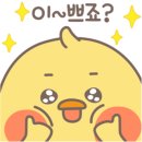 돈돼지구이