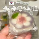 엘린하우스 | 화과자 선물세트 답례품 맛집 엘린케이크스튜디오 부천 떡케이크