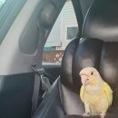 덕천동물의료센터 이미지