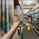 베라미스 이미지