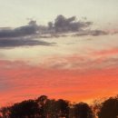 역사 독서캠프-우리는 역사 탐험대 | 미국 대학생 일기 3월 넷째주 일상 | 정말 공부랑 과제만 했습니다.. +버지니아 비치 콧바람 추가