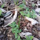 까치농장 이미지