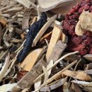 청정염소농장 이미지