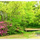 고려청자박물관 이미지