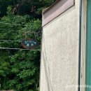 별빛마루펜션 - 논산시 대둔로 974 | [충남/논산]별빛마루펜션, 수영장과 계곡을 모두 즐길 수 있는 자연 속 펜션(블루방 상세후기)